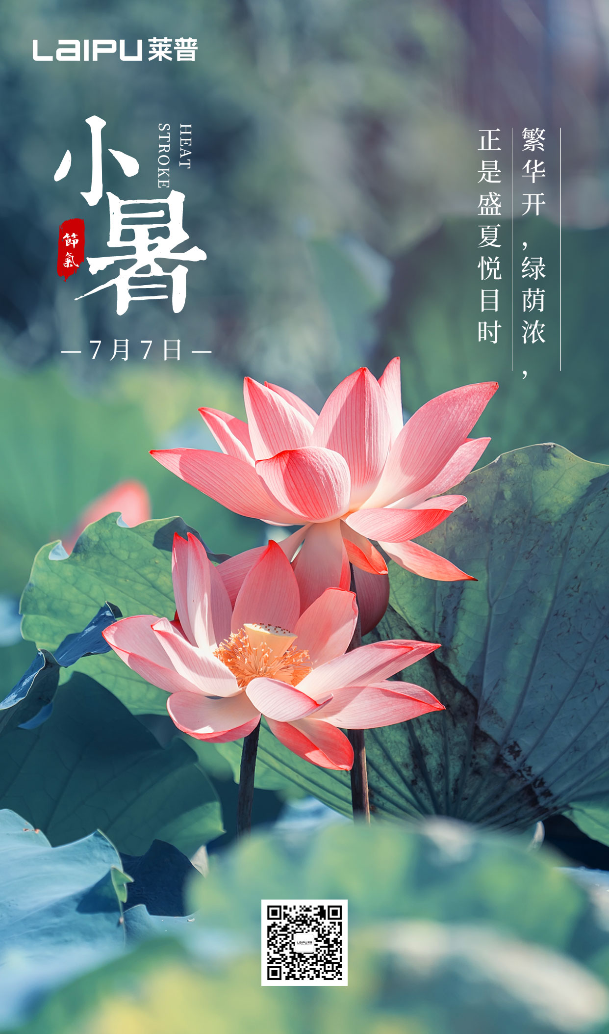小暑丨小暑清和夏日长，国产小鲜GAY男男麻豆无烟风自凉