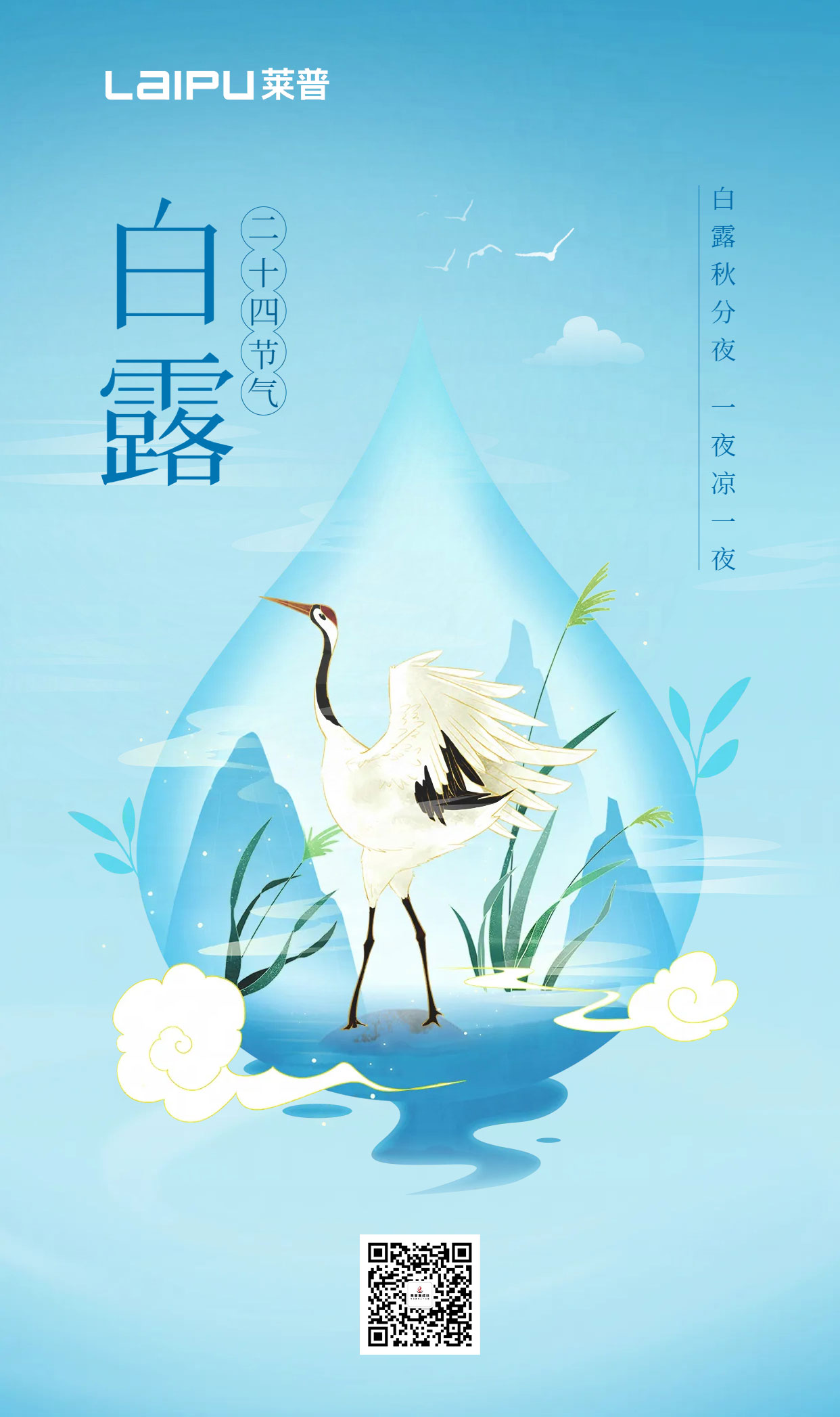 白露为霜，仲秋微凉